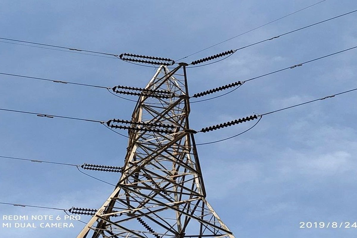 Monkey Patrolling transmission tower