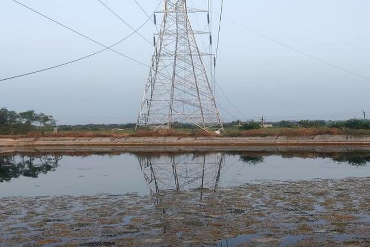 Foundation & Tower Erection